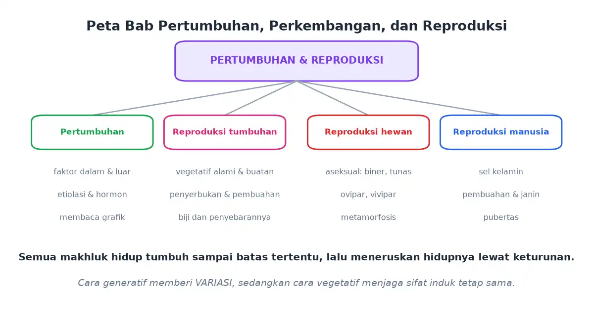 Peta bab pertumbuhan reproduksi tumbuhan reproduksi hewan dan reproduksi manusia