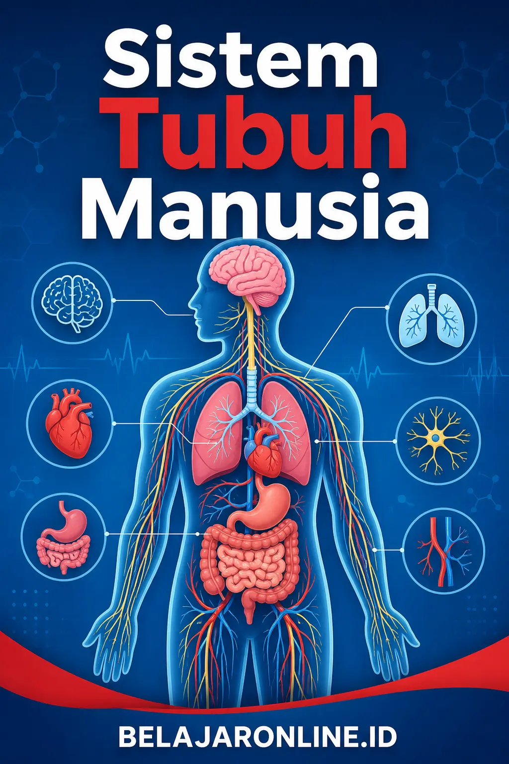 Sistem Tubuh Manusia