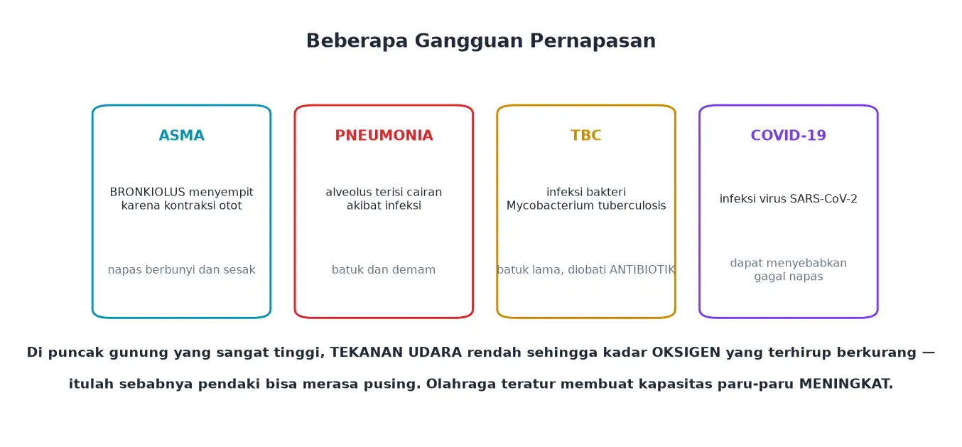 Gangguan pernapasan asma pneumonia TBC dan COVID-19