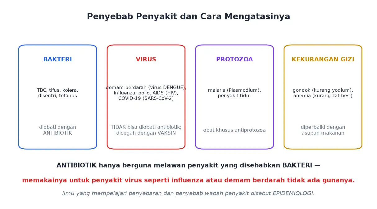 Penyebab penyakit bakteri virus protozoa dan kekurangan gizi beserta cara mengatasinya
