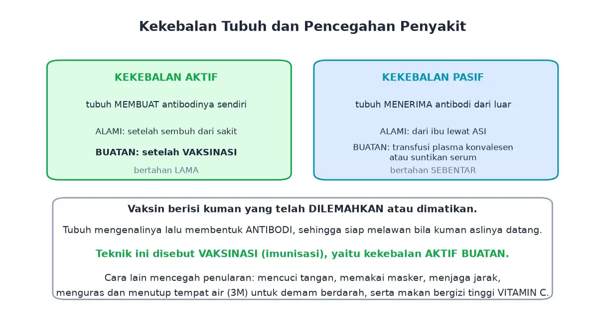 Kekebalan aktif dan pasif serta cara pencegahan penyakit menular