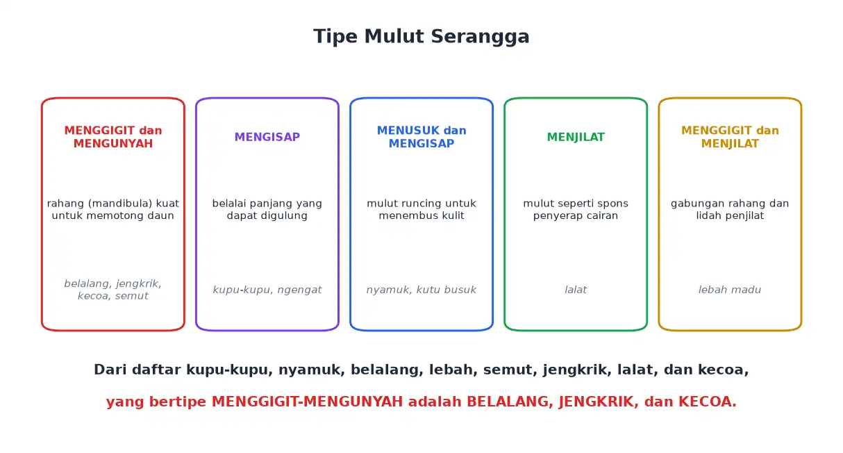 Lima tipe mulut serangga menggigit mengunyah mengisap menusuk menjilat