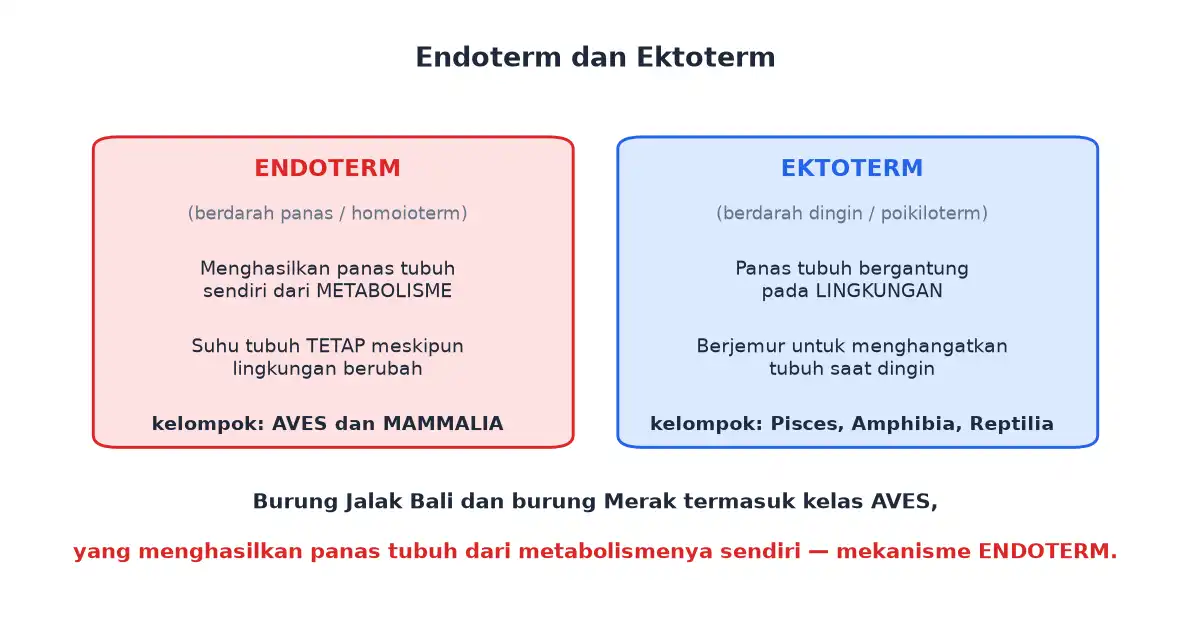 Hewan endoterm menghasilkan panas sendiri sedangkan ektoterm bergantung lingkungan