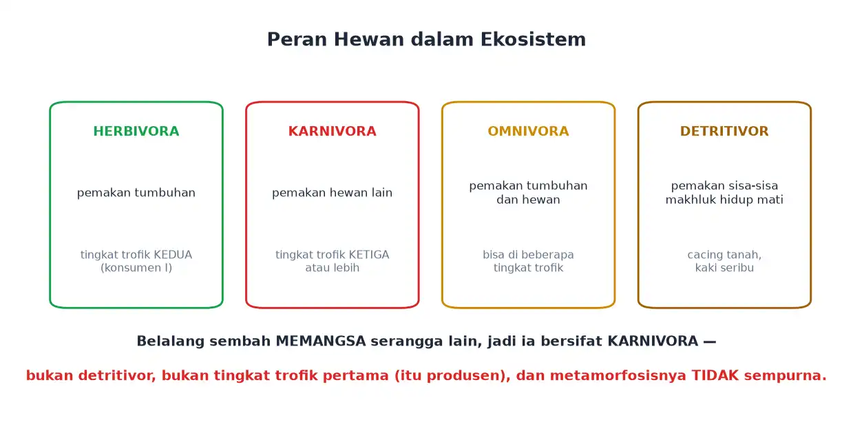 Peran hewan sebagai herbivora karnivora omnivora dan detritivor