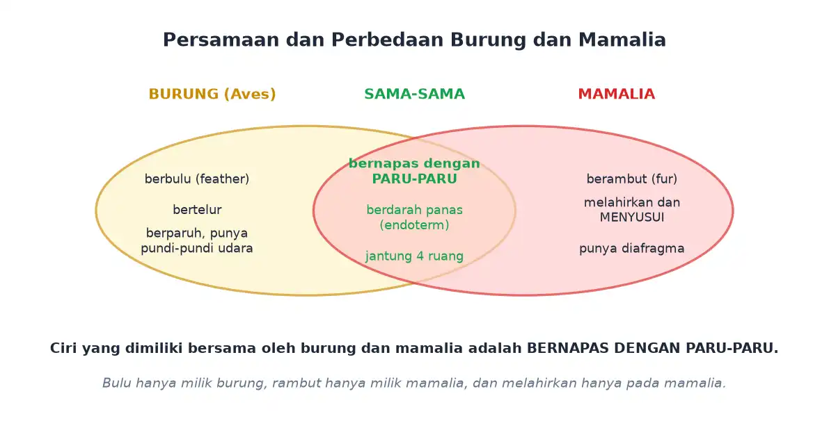 Persamaan dan perbedaan ciri burung dan mamalia