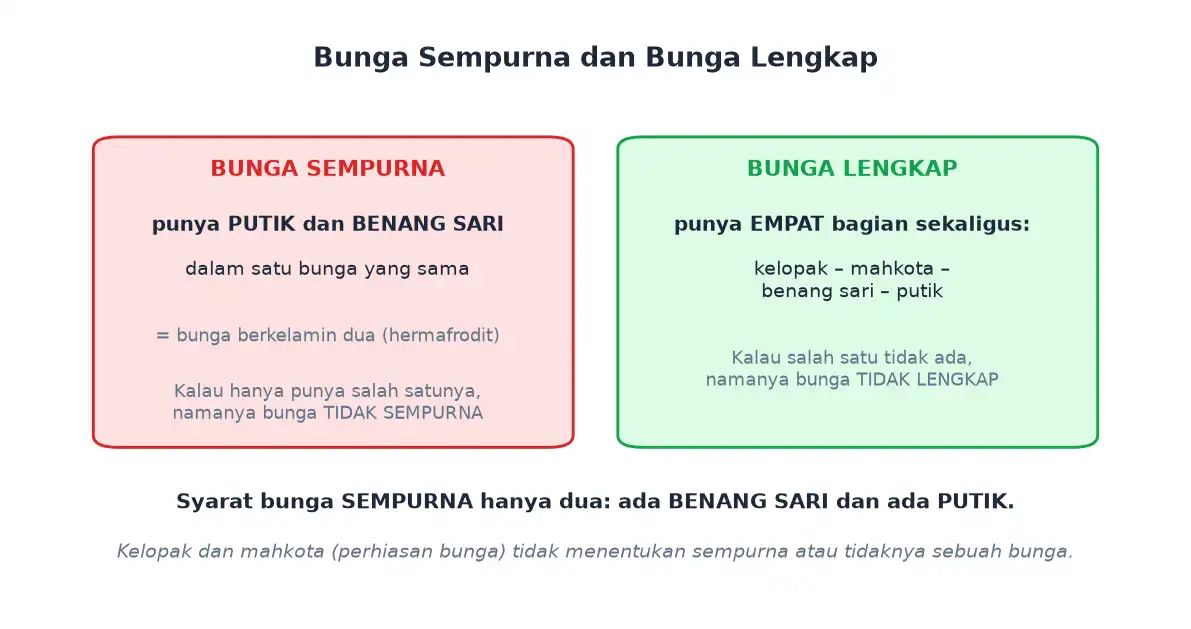 Perbedaan bunga sempurna dan bunga lengkap