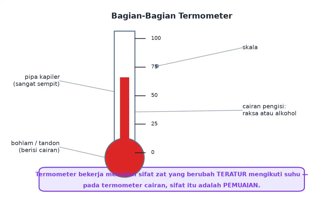 Bagian-bagian termometer yaitu bohlam pipa kapiler skala dan cairan pengisi