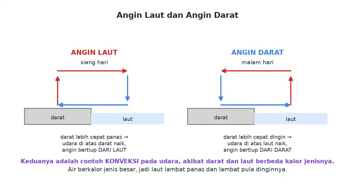 Angin laut bertiup pada siang hari dan angin darat bertiup pada malam hari
