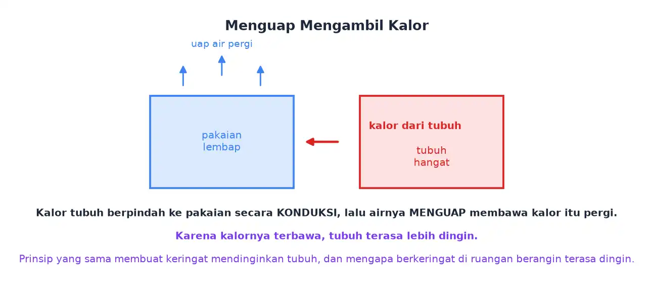 Kalor tubuh berpindah ke pakaian lembap secara konduksi lalu terbawa pergi bersama uap air