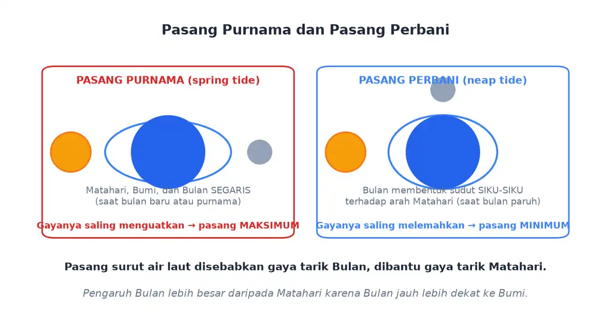 Perbedaan pasang purnama saat segaris dan pasang perbani saat tegak lurus