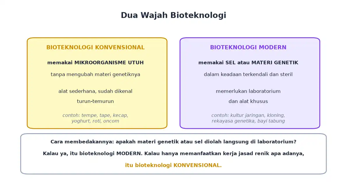 Perbandingan bioteknologi konvensional dan bioteknologi modern