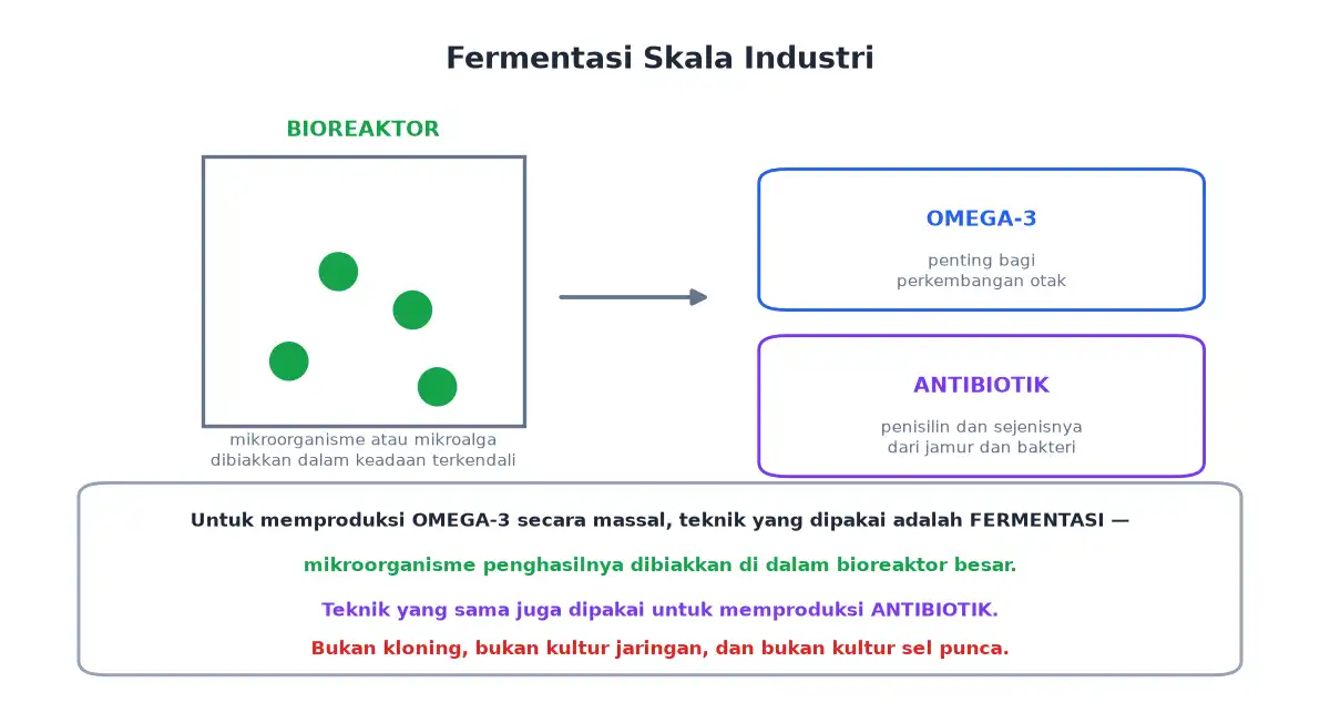 Bioreaktor menghasilkan omega-3 dan antibiotik