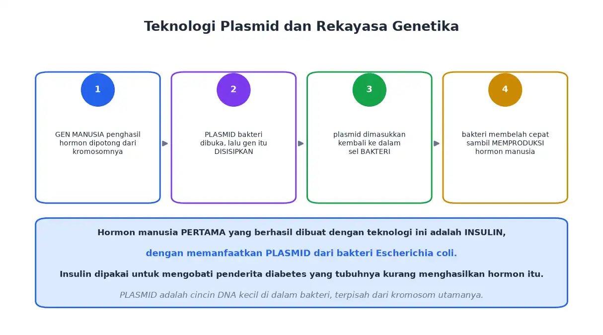 Tahap penyisipan gen manusia ke plasmid bakteri untuk memproduksi hormon