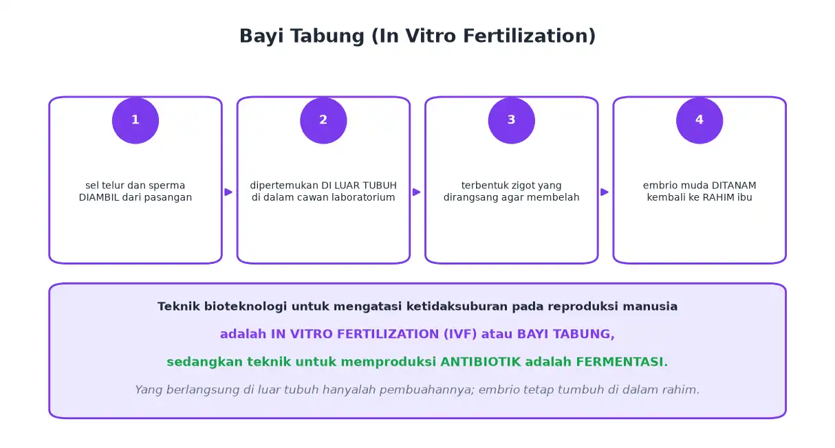 Tahap bayi tabung dari pengambilan sel kelamin sampai penanaman embrio di rahim